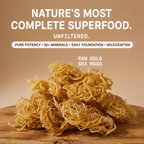 Raw Wildcrafted Sea Moss 4oz