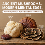Superfood Mushroom Blend Capsules